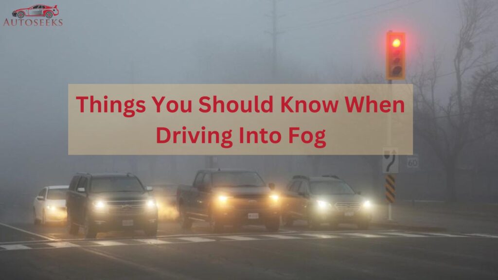 When Driving Into Fog You Should Know These Things