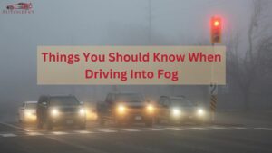 when driving into fog you should