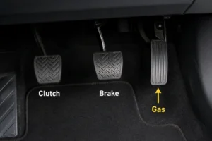 Read more about the article Which Pedal Is The Gas And How To Use It Safely